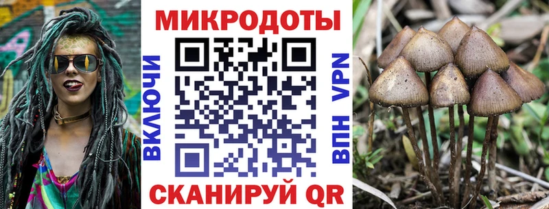 Купить закладки  Усть-Илимск  Псилоцибиновые грибы прущие грибы 